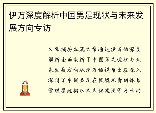伊万深度解析中国男足现状与未来发展方向专访